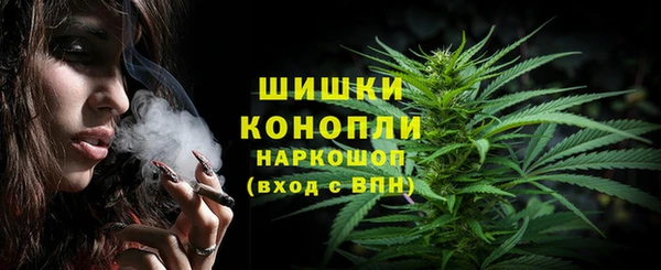 твердый Балахна