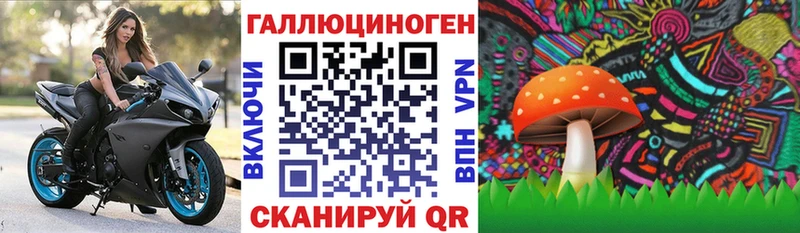 Псилоцибиновые грибы MAGIC MUSHROOMS  Лахденпохья 